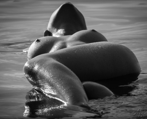 DC Foto Week 2015 20150509 IMG 1003 AppealPhotography | Appeal Photography