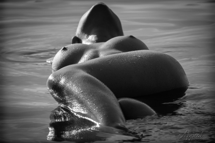 DC Foto Week 2015 20150509 IMG 1003 AppealPhotography | Appeal Photography