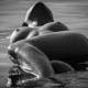 DC Foto Week 2015 20150509 IMG 1003 AppealPhotography | Appeal Photography