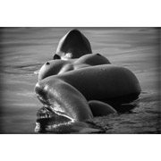 Maternity Boudoir Photography Services: No-Obligation Quote
